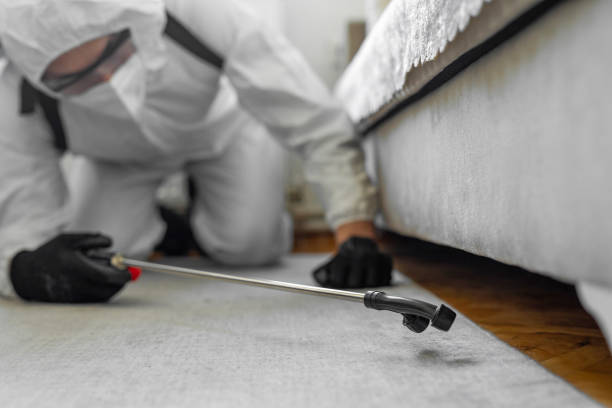 Professional Termite Control technician working in Negaunee, MI