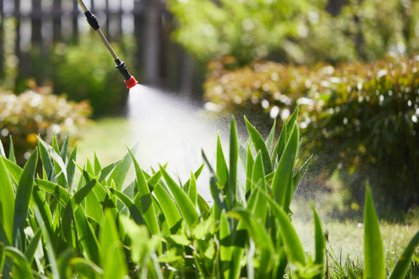 24/7 Emergency Termite Control experts in Negaunee, MI