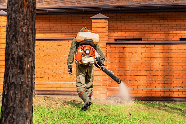 Top rated local Termite Control specialists in Negaunee, MI